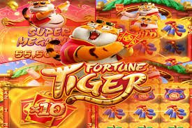 Filipino players enjoying live bingo rooms on ph 80 mobile platform